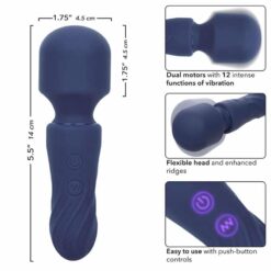 CALEXOTICS – CHARISMA CHARM MASAJEADOR 12 FUNCIONES MORADO - intimamenities.com