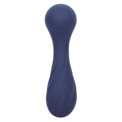 CALEXOTICS – CHARISMA TEMPTATION MASAJEADOR 12 FUNCIONES MORADO - intimamenities.com
