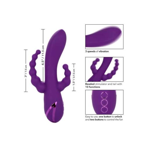 CALEXOTICS – LONG BEACH BOOTYLICIOUS PURPLE - intimamenities.com