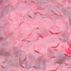 DIABLO PICANTE - 100 PTALOS ROSA
