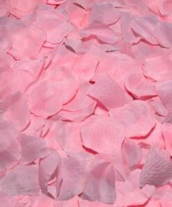 DIABLO PICANTE - 100 PTALOS ROSA