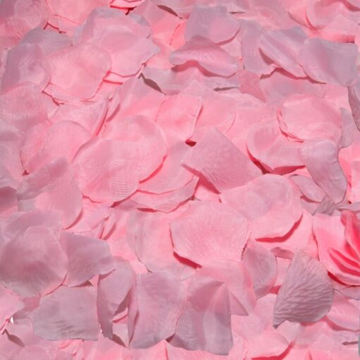 DIABLO PICANTE - 100 PTALOS ROSA