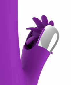 FUN FUNCTION – BUNNY FUNNY ROTATION 2.0 - intimamenities.com