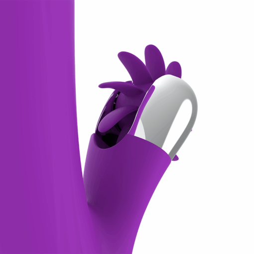 FUN FUNCTION – BUNNY FUNNY ROTATION 2.0 - intimamenities.com