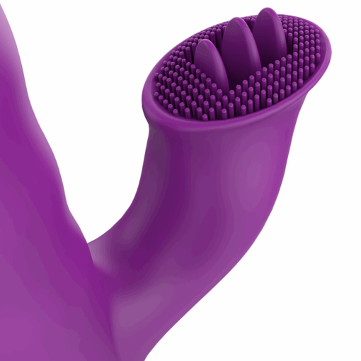 FUN FUNCTION – ZENDA THRUSTER & ROTATION - intimamenities.com