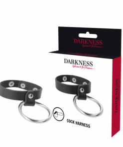 DARKNESS - ANILLO DE METAL PARA EL PENE Y TESTÍCULOS