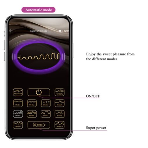 PRETTY LOVE – ELVIRA BOLAS VIBRADORAS RECARGABLE MORADO - intimamenities.com