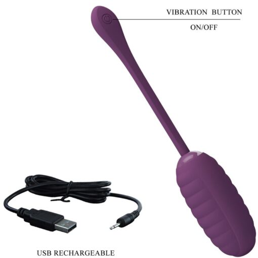 PRETTY LOVE – CASPER HUEVO VIBRADOR RECARGABLE MORADO - intimamenities.com