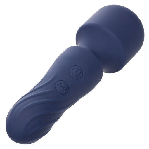 CALEXOTICS – CHARISMA CHARM MASAJEADOR 12 FUNCIONES MORADO - intimamenities.com