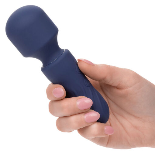 CALEXOTICS – CHARISMA CHARM MASAJEADOR 12 FUNCIONES MORADO - intimamenities.com