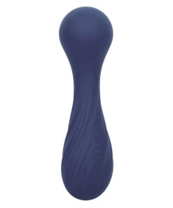 CALEXOTICS – CHARISMA TEMPTATION MASAJEADOR 12 FUNCIONES MORADO - intimamenities.com