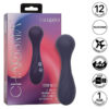 CALEXOTICS – CHARISMA TEMPTATION MASAJEADOR 12 FUNCIONES MORADO - intimamenities.com