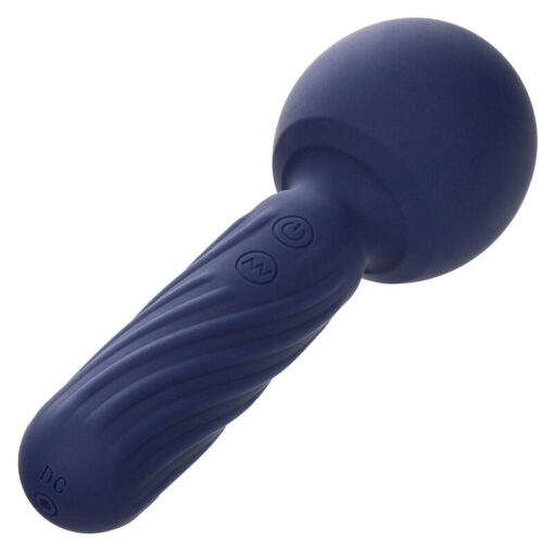 CALEXOTICS – CHARISMA SEDUCTION MASAJEADOR 12 FUNCIONES 17,75 CM X 6,25 CM MORADO - intimamenities.com