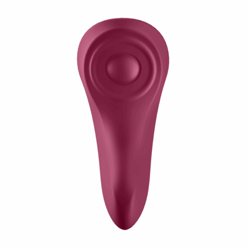 SATISFYER - SEXY SECRET PANTY - Imagen 7