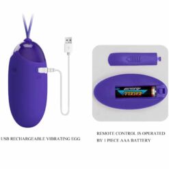 PRETTY LOVE – BERGER YOUTH HUEVO VIBRADOR CONTROL REMOTO VIOLETA - intimamenities.com