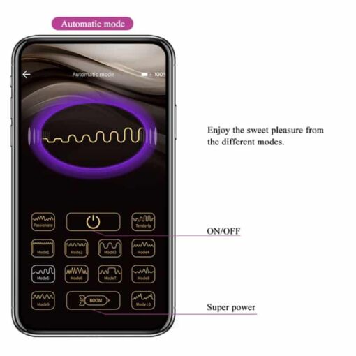 PRETTY LOVE – ELVIRA BOLAS VIBRADORAS RECARGABLE MORADO - intimamenities.com