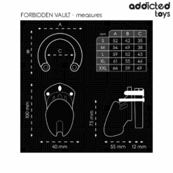 Comprar ADDICTED TOYS LOCKED - FORBIDDEN VAULT JAULA PARA PENE 10 CM al mejor precio - Envíos Discretos