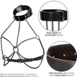 Comprar CALEXOTICS - EUPHORIA ARNÉS DE CUELLO DE CADENA TALLA GRANDE al mejor precio - Envíos Discretos