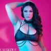 Comprar CALEXOTICS - EUPHORIA ARNÉS DE CUELLO DE CADENA TALLA GRANDE al mejor precio - Envíos Discretos