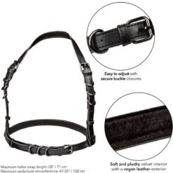 Comprar CALEXOTICS - EUPHORIA ARNÉS HATLER CON HEBILLA TALLA GRANDE NEGRO al mejor precio - Envíos Discretos