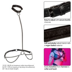 Comprar CALEXOTICS - EUPHORIA COLLAR HALTER Y CORREA CON CADENA TALLA PLUS al mejor precio - Envíos Discretos