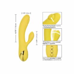 Comprar CALEXOTICS - SAN DIEGO SEDUCTION al mejor precio - Envíos Discretos