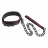 Comprar CALEXOTICS - SCANDAL COLLAR CON CORREA NEGRA al mejor precio - Envíos Discretos