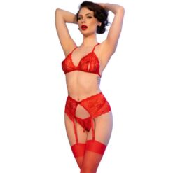 Comprar CHILIROSE - CR 4848 SET SUJETADOR + TANGA + MEDIAS DE ENCAJE ROJO XL al mejor precio - Envíos Discretos