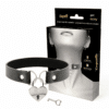 Comprar COQUETTE CHIC DESIRE - COLLAR CUERO VEGANO ACCESORIO CORAZÓN CON LLAVE al mejor precio - Envíos Discretos