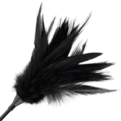 Comprar DARKNESS - FUSTA CON PLUMA NEGRO al mejor precio - Envíos Discretos