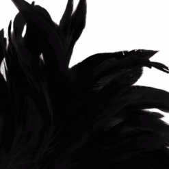 Comprar DARKNESS - PLUMA ESTIMULADORA NEGRO LUX al mejor precio - Envíos Discretos
