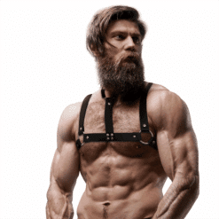 Comprar FETISH SUBMISSIVE ATTITUDE - ARNÉS AJUSTABLE ECOPIEL PECHO CON COLLAR HOMBRE al mejor precio - Envíos Discretos