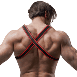 Comprar FETISH SUBMISSIVE ATTITUDE - ARNÉS BULLDOG ECOPIEL PECHO HOMBRE NEGRO/ROJO al mejor precio - Envíos Discretos