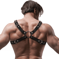 Comprar FETISH SUBMISSIVE ATTITUDE - ARNÉS BULLDOG ECOPIEL PECHO HOMBRE TALLA M/L al mejor precio - Envíos Discretos