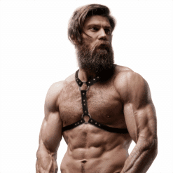 Comprar FETISH SUBMISSIVE ATTITUDE - ARNÉS ECOPIEL PECHO CON DOBLE SUJECIÓN Y TACHUELAS HOMBRE al mejor precio - Envíos Discretos