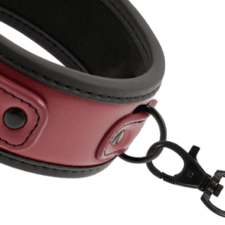 Comprar FETISH SUBMISSIVE DARK ROOM - COLLAR CON CADENA CON FORRO DE NEOPRENO al mejor precio - Envíos Discretos