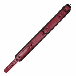 Comprar FETISH SUBMISSIVE DARK ROOM - COLLAR CON CADENA CON FORRO DE NEOPRENO al mejor precio - Envíos Discretos