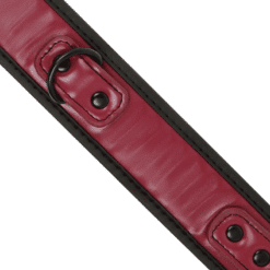 Comprar FETISH SUBMISSIVE DARK ROOM - COLLAR CON CADENA CON FORRO DE NEOPRENO al mejor precio - Envíos Discretos