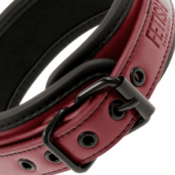 Comprar FETISH SUBMISSIVE DARK ROOM - COLLAR CON CADENA CON FORRO DE NEOPRENO al mejor precio - Envíos Discretos