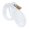 Comprar HIDDEN DESIRE - EXTREME JAULA DE CASTIDAD ACRÍLICA AJUSTABLE TRANSPARENTE al mejor precio - Envíos Discretos
