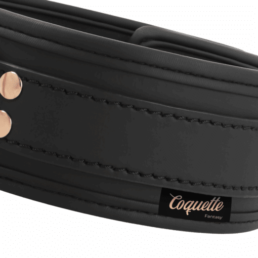 COQUETTE CHIC DESIRE - FANTASY COLLAR CUERO VEGANO CON CORREA Y FORRO DE NEOPRENO - Imagen 7
