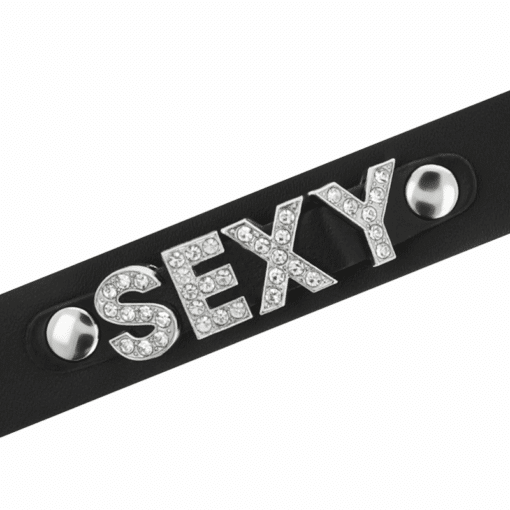 COQUETTE CHIC DESIRE - CHOKER CUERO VEGANO SEXY - Imagen 4