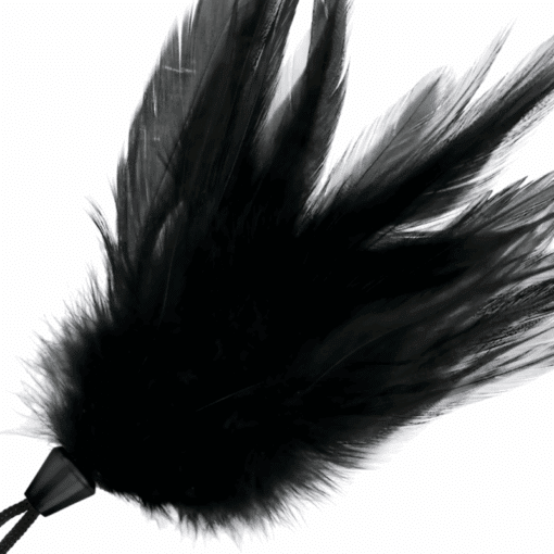 DARKNESS - PLUMA ESTIMULADORA NEGRO 17 CM - Imagen 2