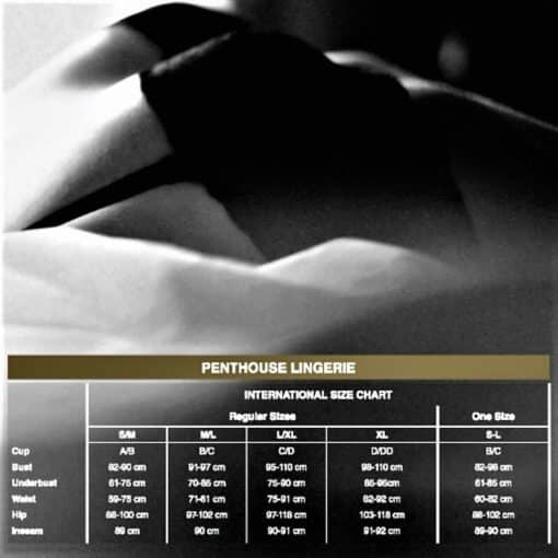 PENTHOUSE - OPEN SECRET TANGA NEGRO S/M - Imagen 3