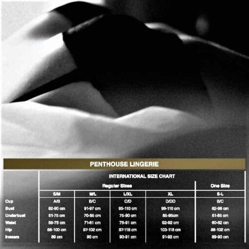 PENTHOUSE - SPICY WHISPER TEDDY XL - Imagen 3