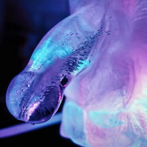 PLAY WIV ME - MOLDE DE HIELO PENE GRANDE - Imagen 6