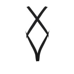 PASSION - 040 BODY LEON NEGRO L/XL - piKanteo | Despierta tu lado más piKante