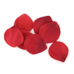 EXTASE SENSUAL - COFRE TENTACION ROJA - piKanteo | Despierta tu lado más piKante