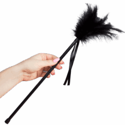 SECRETPLAY - PLUMERO PLUMAS NEGRO 40 CM