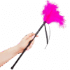 SECRETPLAY - PLUMERO PLUMAS ROSA 40 CM